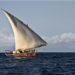 Pwani Tribune - Passion for Coastal Culture and History Interview with/mit Albert Mwamburi engl/ger 11 Screenshot 2021 11 17 122905
