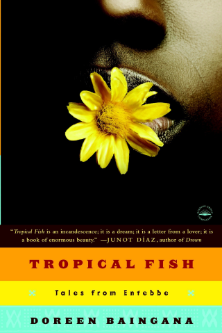 Not only on Woman's Day - African Must Read Literature by Shonatiger 68 81BRXp1oN1L
