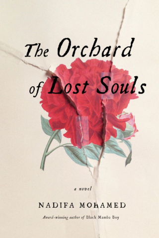 Not only on Woman's Day - African Must Read Literature by Shonatiger 75 orchardoflostsouls