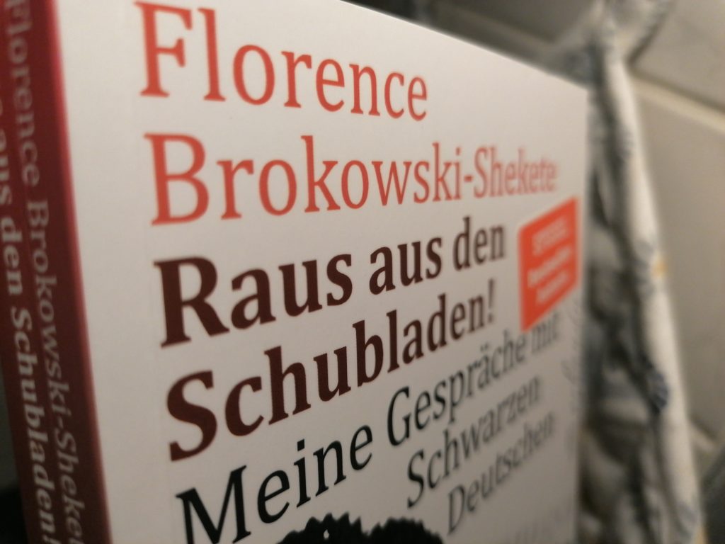 Diversity in Germany: Raus aus den Schubladen! Florence Brokowski-Shekete Book Review ger/engl 5 IMG 20221019 212946