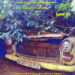 Non–Fiction As Cultural Anthropology - Culture Africa First Literary Magazine out now engl/deutsch 20 layout ca mag2 Kopie